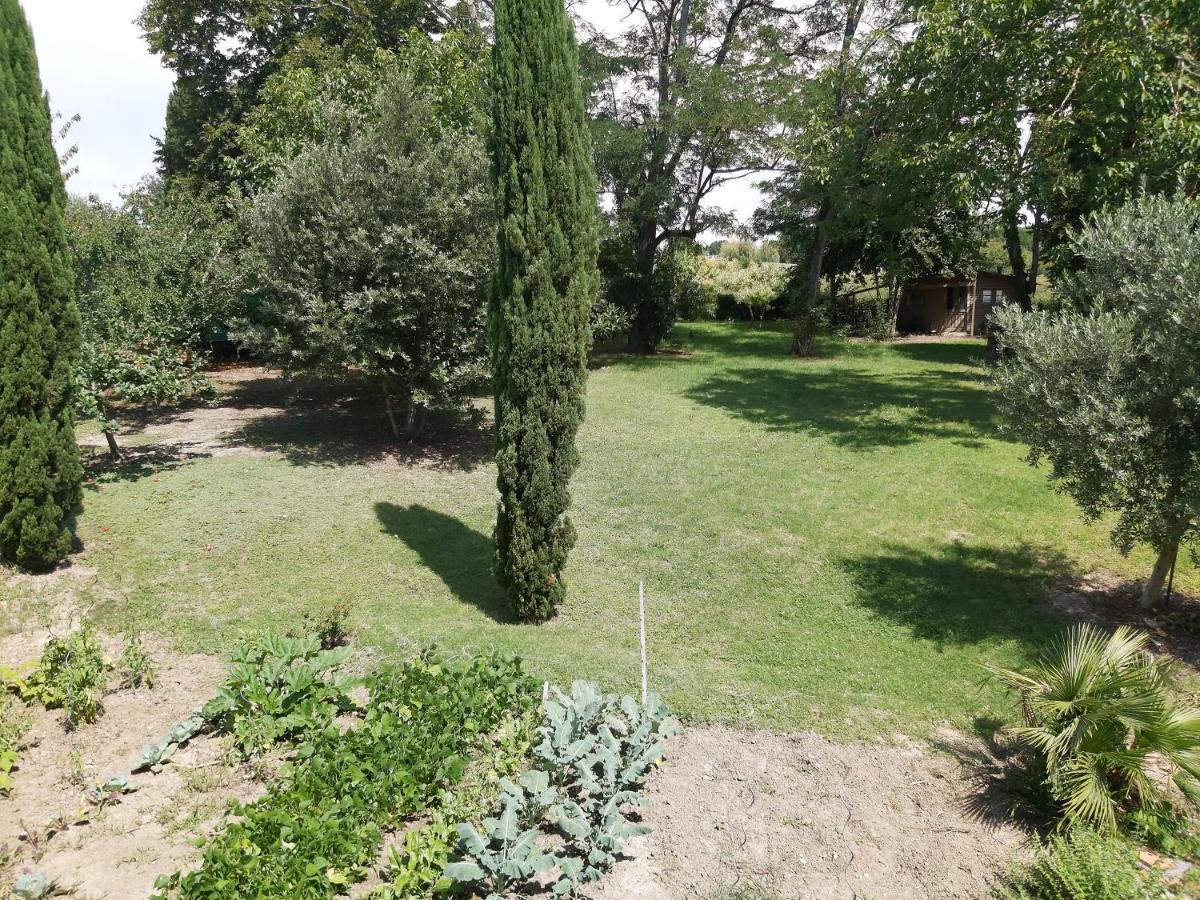 Francescas O Nature Cheris Mes Voeux Avant Qu'Ils S'Enfuient מראה חיצוני תמונה