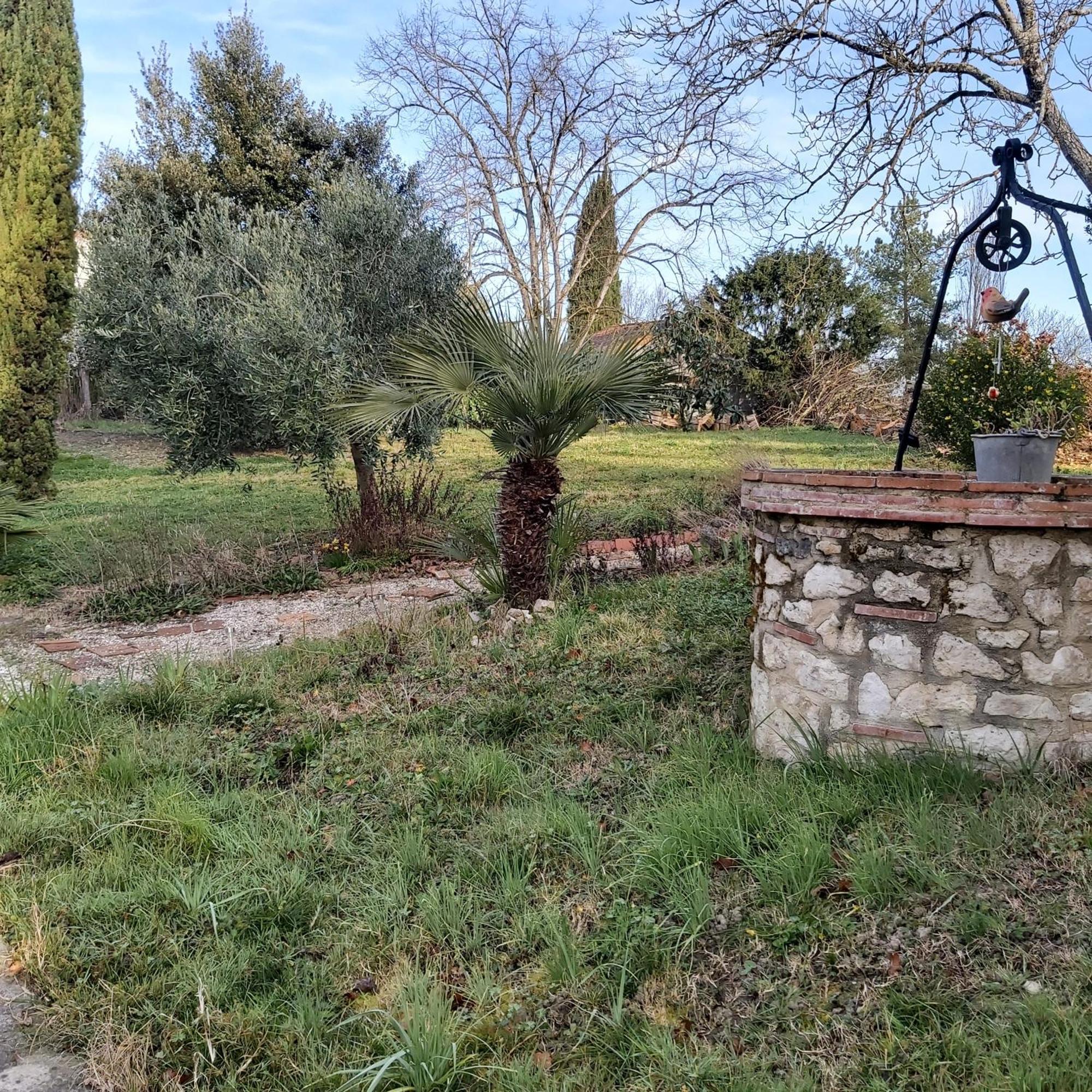 Francescas O Nature Cheris Mes Voeux Avant Qu'Ils S'Enfuient מראה חיצוני תמונה